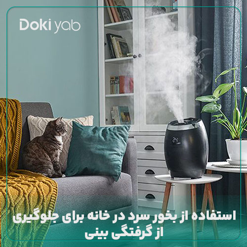 استفاده از دستگاه بخور سرد برای مرطوب نگه داشتن محیط خانه