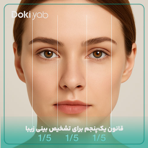 قانون یک پنجم برای تشخیص بینی زیبا