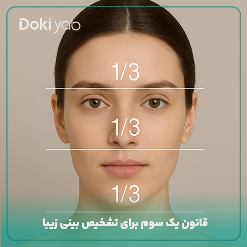 قانون یک سوم برای تشخیص بینی زیبا