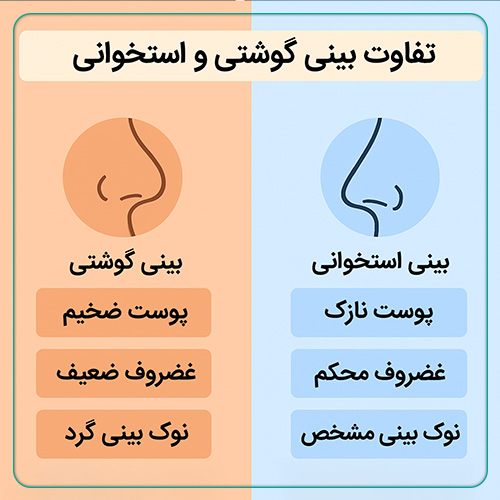 بررسی تفاوت بینی گوشتی و استخوانی در یک نگاه