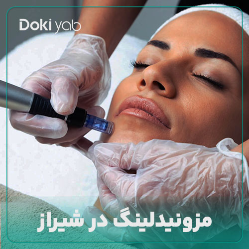 همه چیز درباره مزونیدلینگ در شیراز در دکی یاب